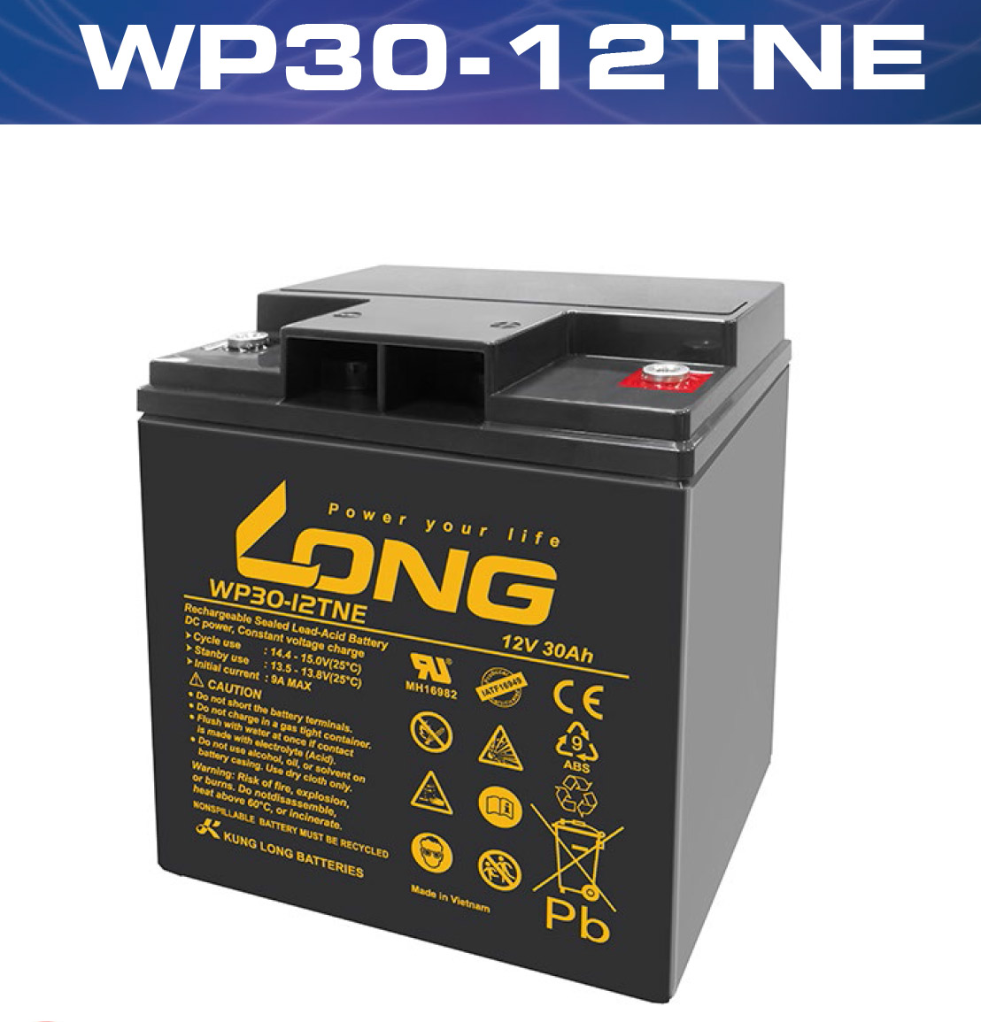 WP30-12TNE,12V30 Ah